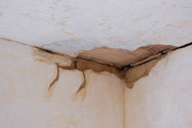 Best Water damage restoration mold remediation  in Jonesville, LA