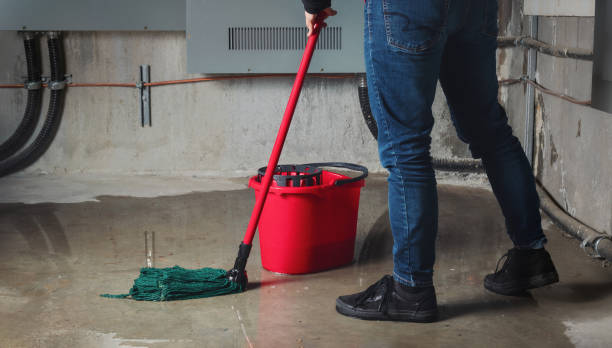 Best Water damage restoration near me  in Jonesville, LA