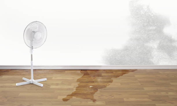 Sewage cleanup and water damage restoration in LA