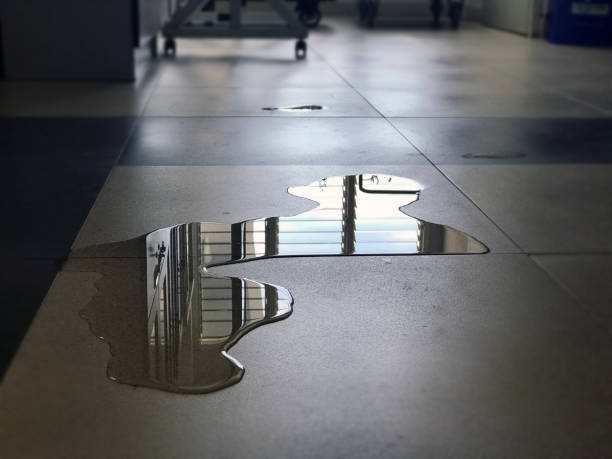 Best Carpet water damage restoration  in Jonesville, LA