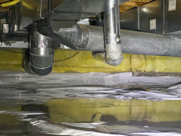 Best Flood restoration services  in Jonesville, LA