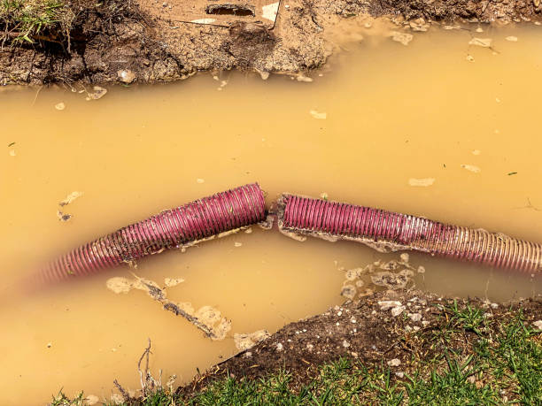 Best Sewage cleanup and water damage restoration  in Jonesville, LA
